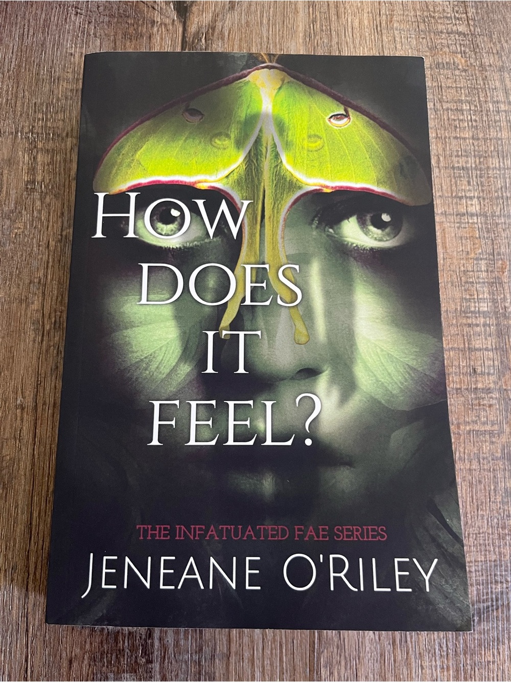 Book - How Does It Feel - Jeneane O'Riley - The Infatuated Fae Series